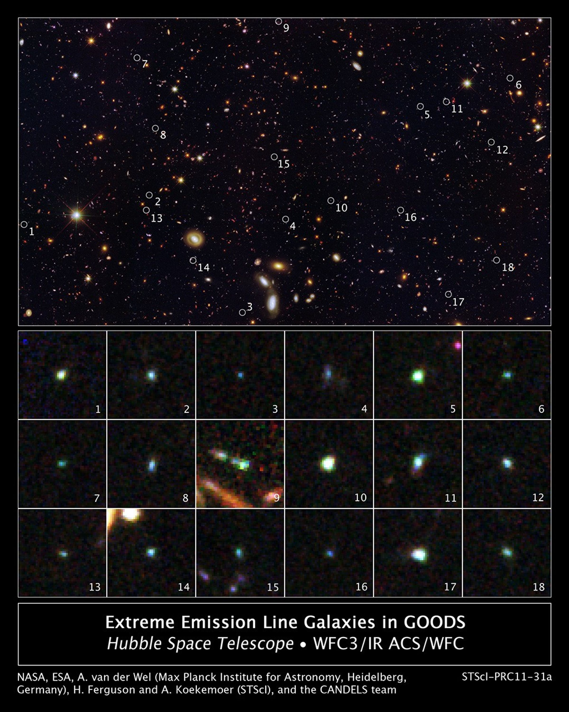 Tiny Galaxies Brimming with Star Birth in the GOODS Field