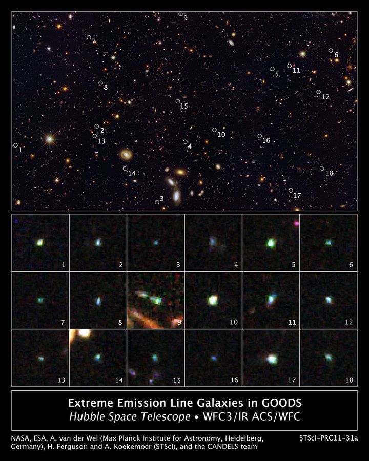 Tiny Galaxies Brimming with Star Birth in the GOODS Field