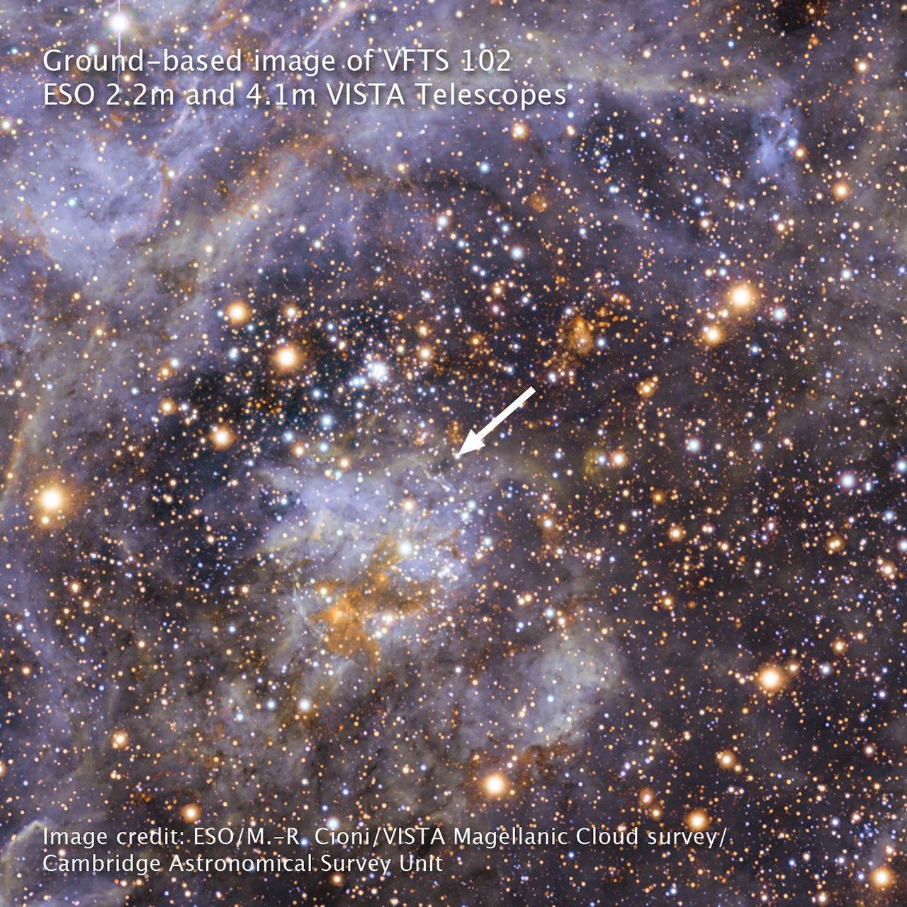 Ground-based Image of Tarantula Nebula