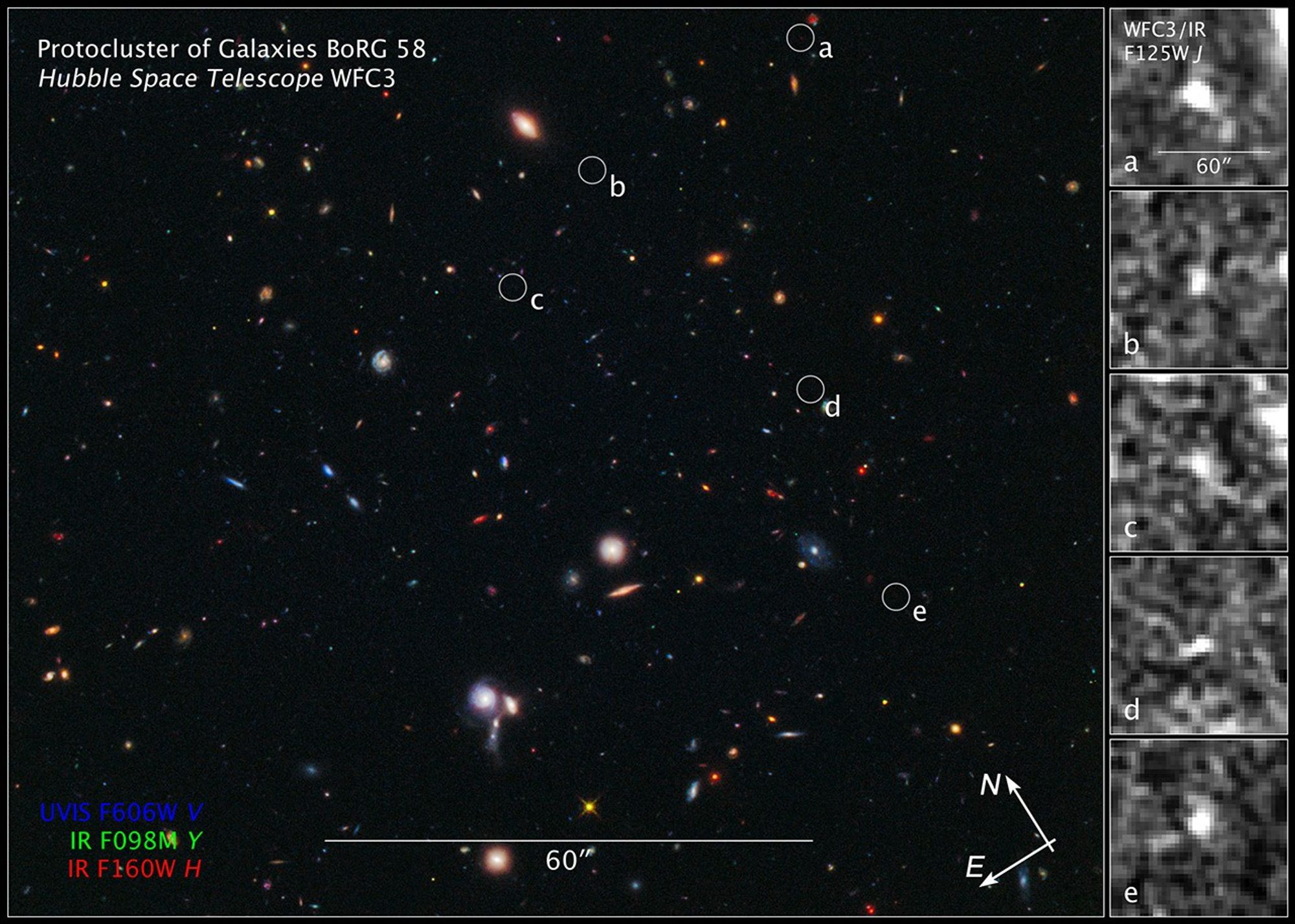 Compass and Scale Image of Borg 58 Galaxy Field