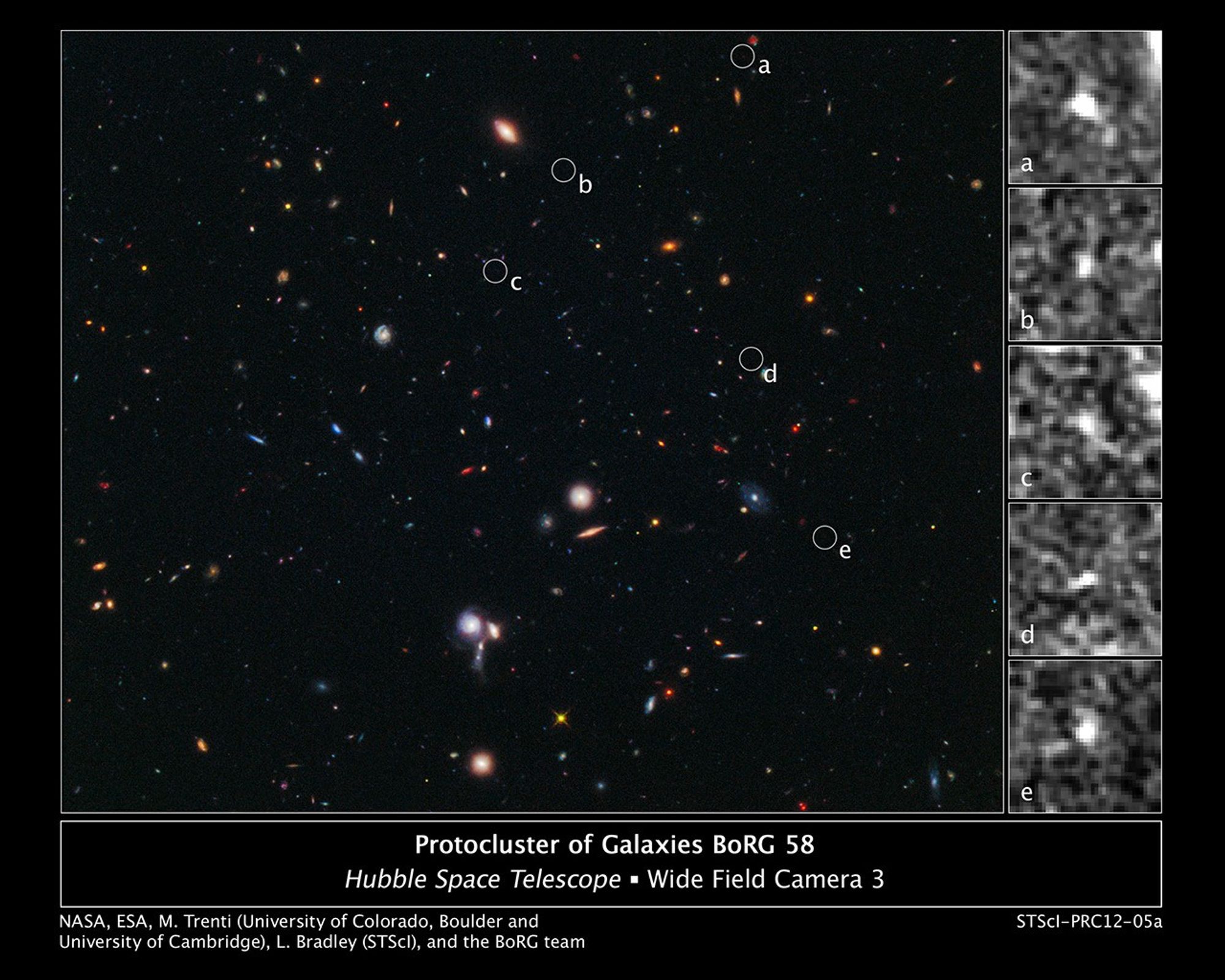 Hubble Spies Building Blocks of Most Distant Galaxy Cluster
