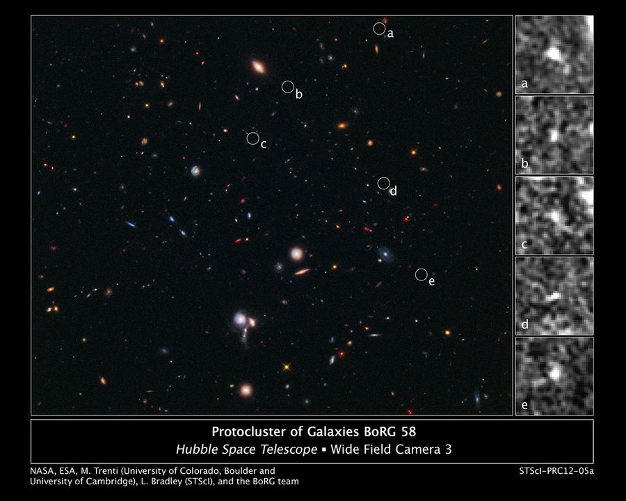 Hubble Spies Building Blocks of Most Distant Galaxy Cluster