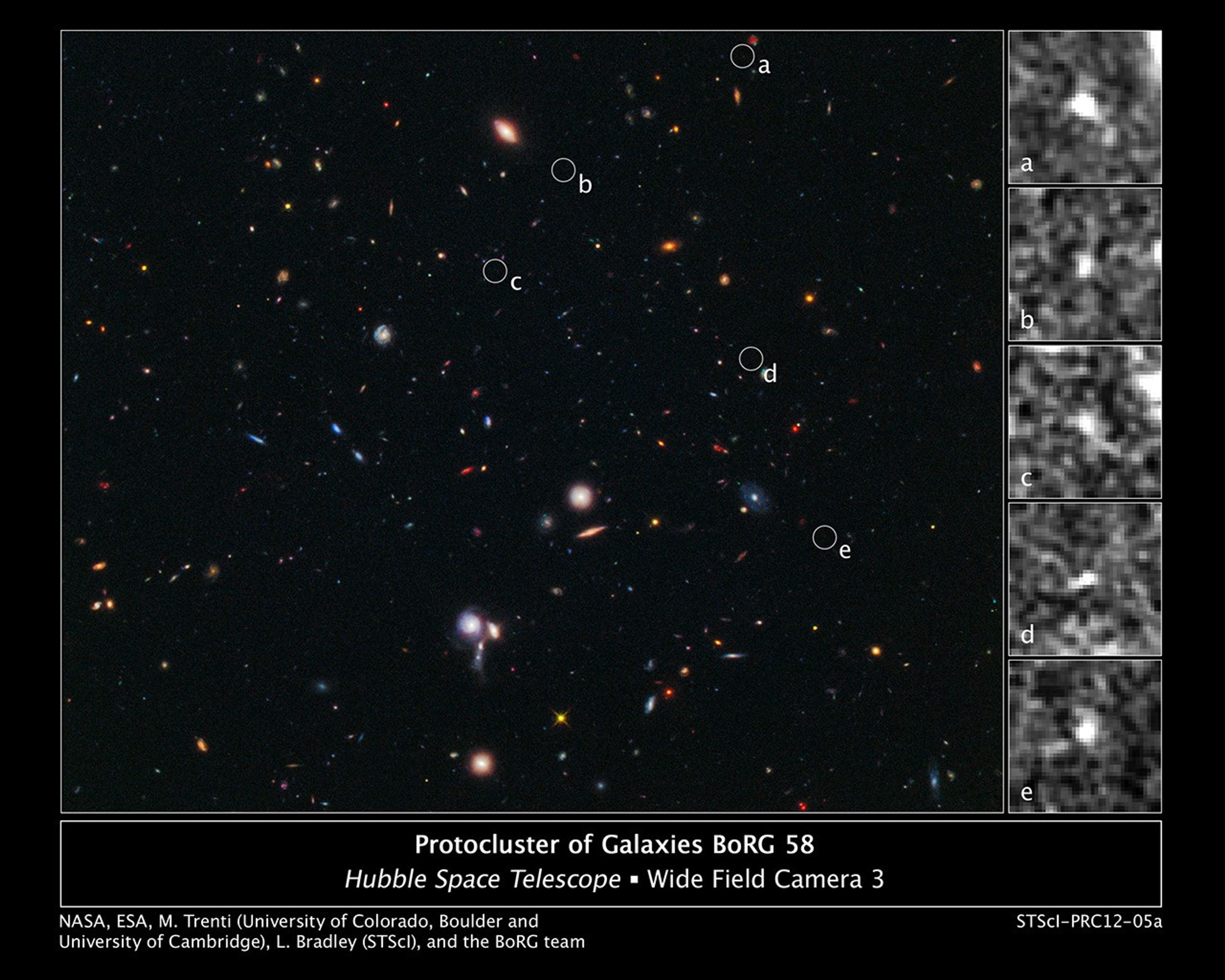 Hubble Spies Building Blocks of Most Distant Galaxy Cluster