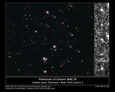 Hubble Spies Building Blocks of Most Distant Galaxy Cluster