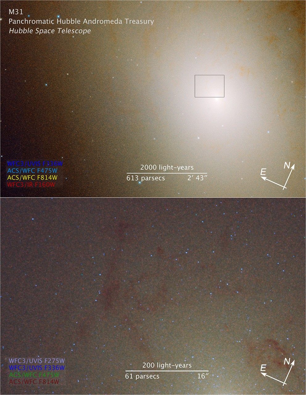 Compass and Scale Image of M31