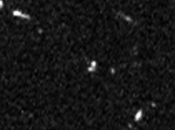 HST WFC3 F160W Image with SN