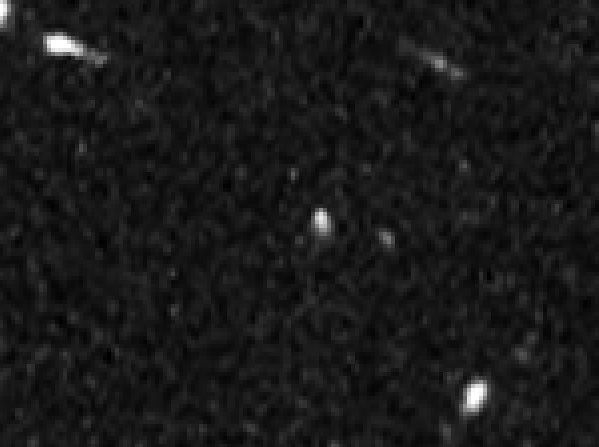 HST WFC3 F160W Image without SN