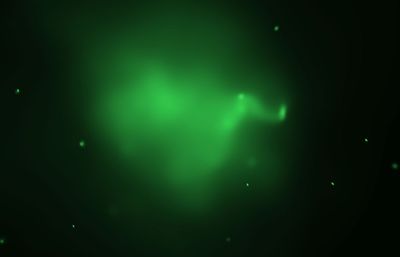 Galaxy Cluster Abell 520’s Hot Gas (Chandra)