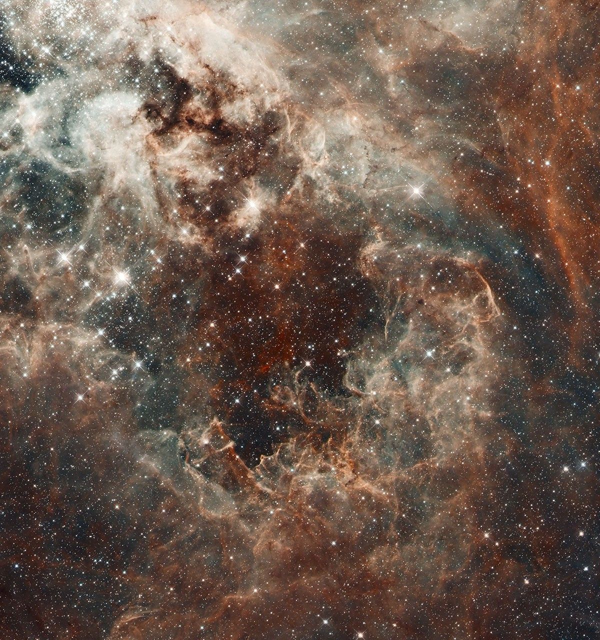 The Tarantula Nebula in the Large Magellanic Cloud