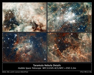 Close-up Images of 30 Doradus Features