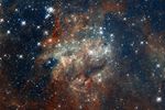 Hubble Images 30 Doradus: NGC 2060
