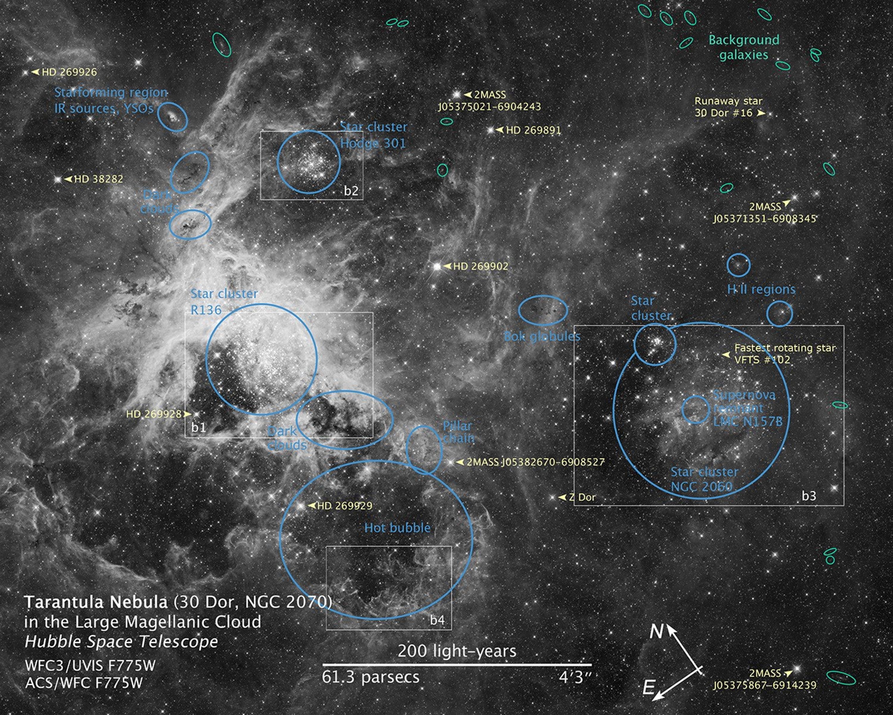 Tarantula Nebula Annotated Map