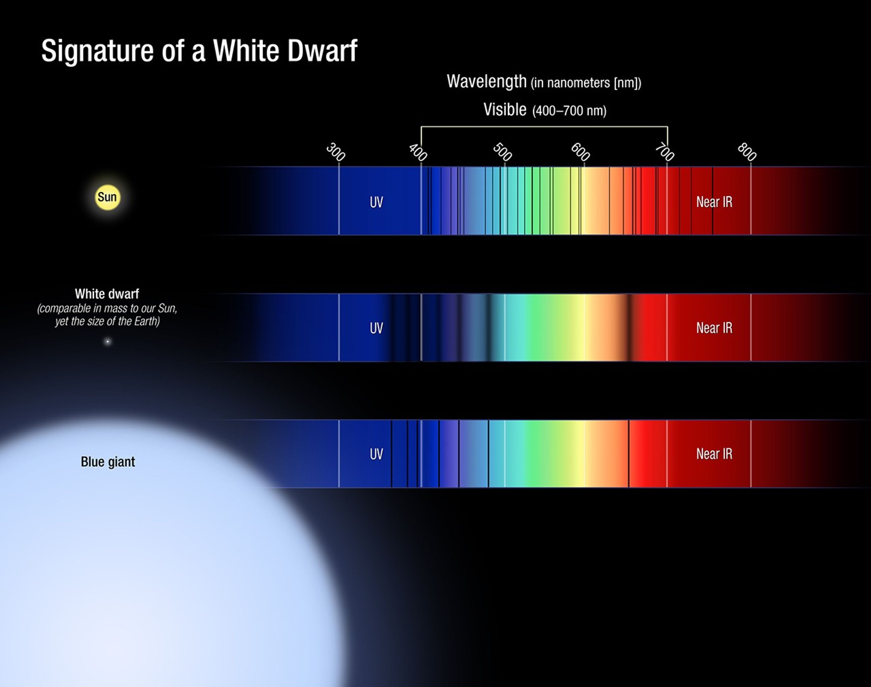 Signature of a White Dwarf