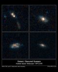 The Homes of Quasars