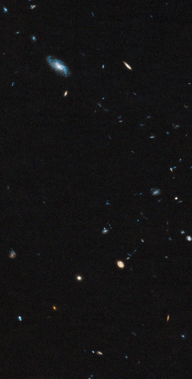 Background Galaxies in Leo IV Field