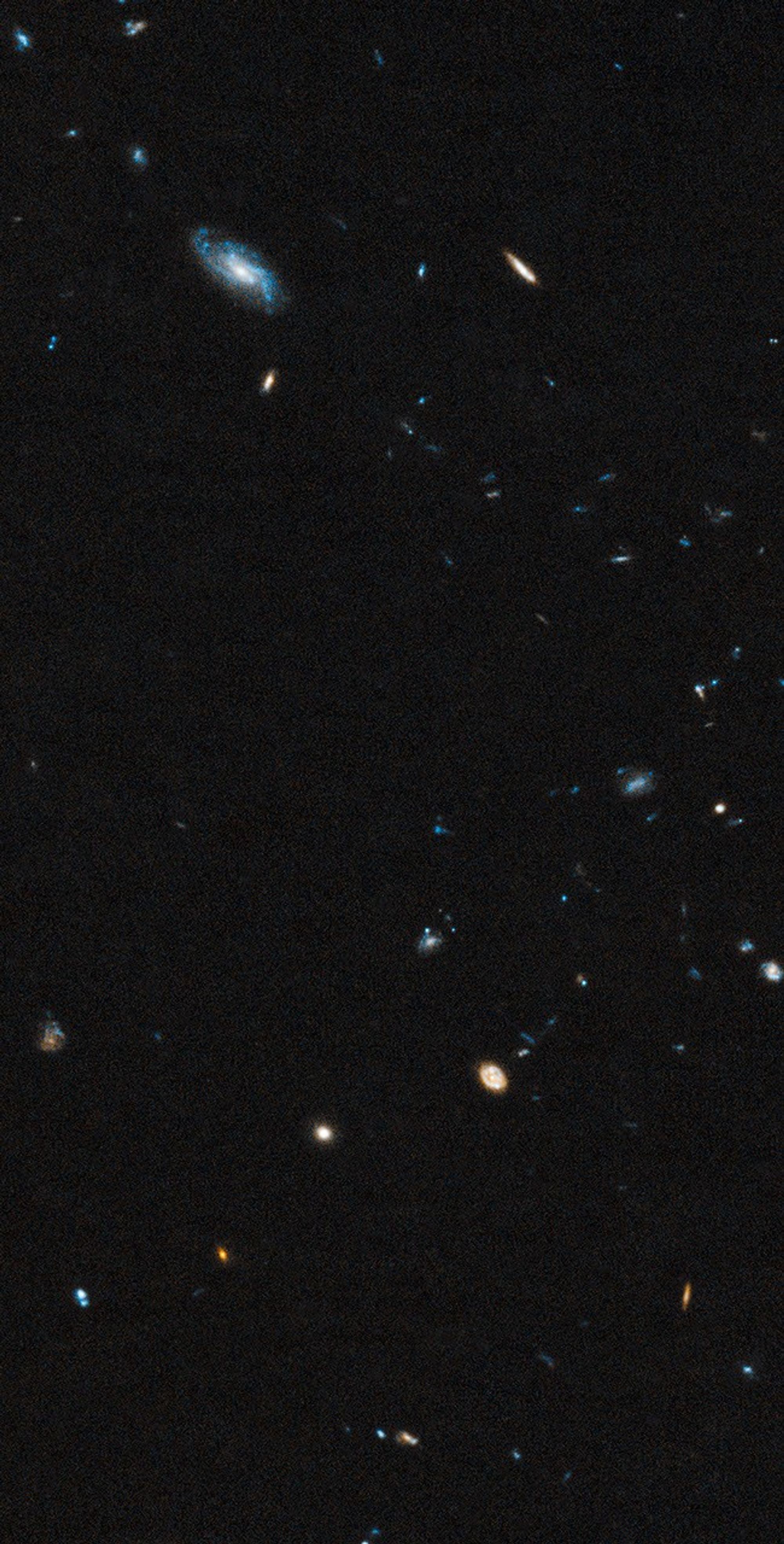 Background Galaxies in Leo IV Field