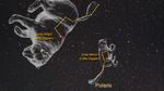 MACS J0647 Zoom Sequence (Annotated)