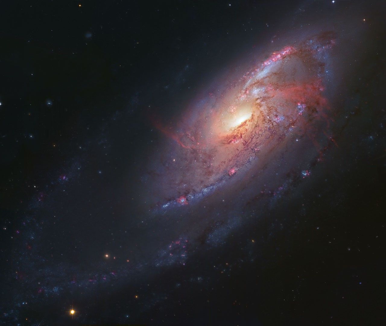 A tilted galaxy against the black background of space. It has red and blue spiral arms stretching clockwise around its bright yellow-white core.