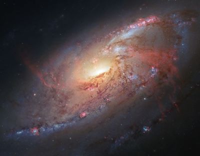 Galaxy M106