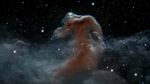 The Gaseous Landscape of the Horsehead Nebula in Infrared