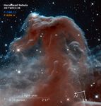 Compass and Scale Image for Horsehead Nebula