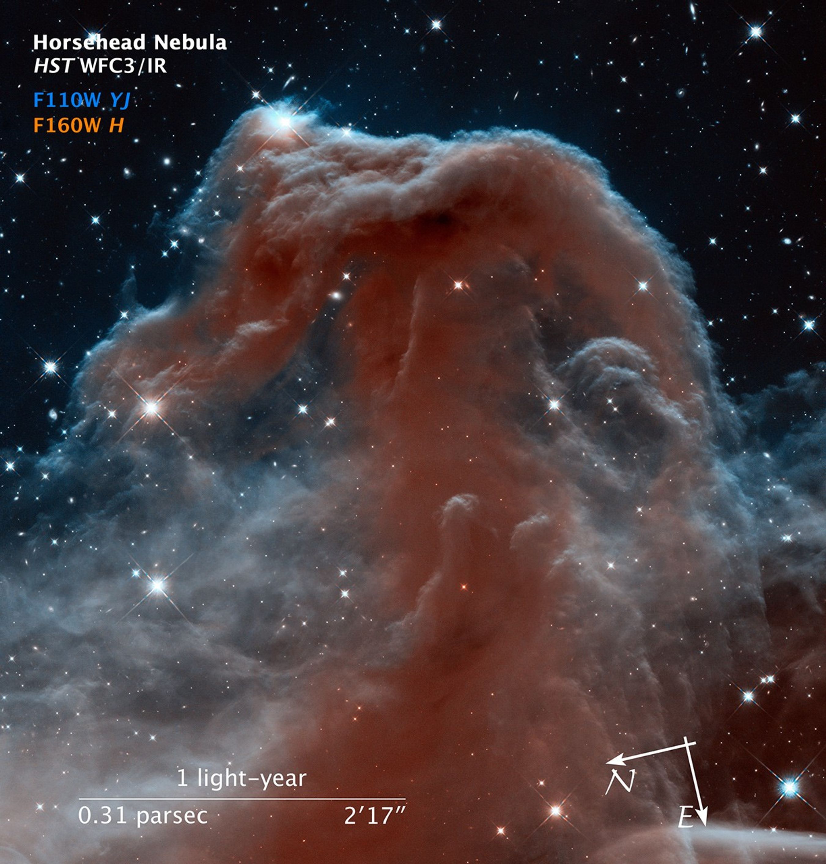 Compass and Scale Image for Horsehead Nebula