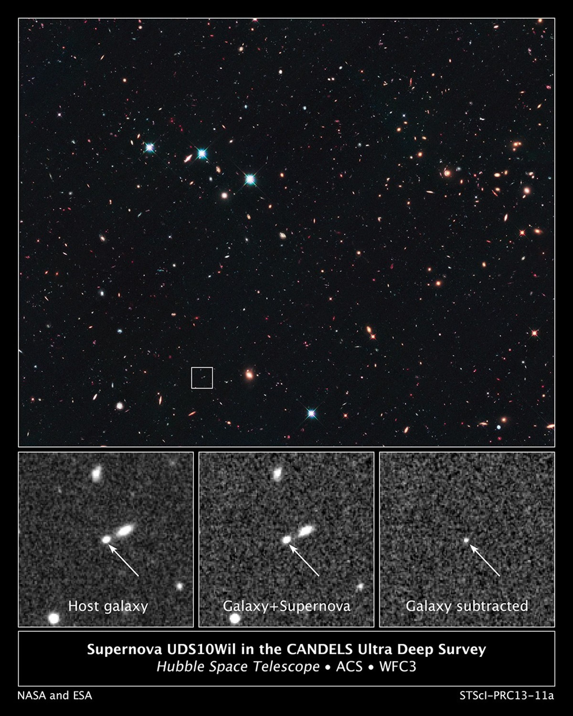 Supernova UDS10Wil in the CANDELS Ultra Deep Survey
