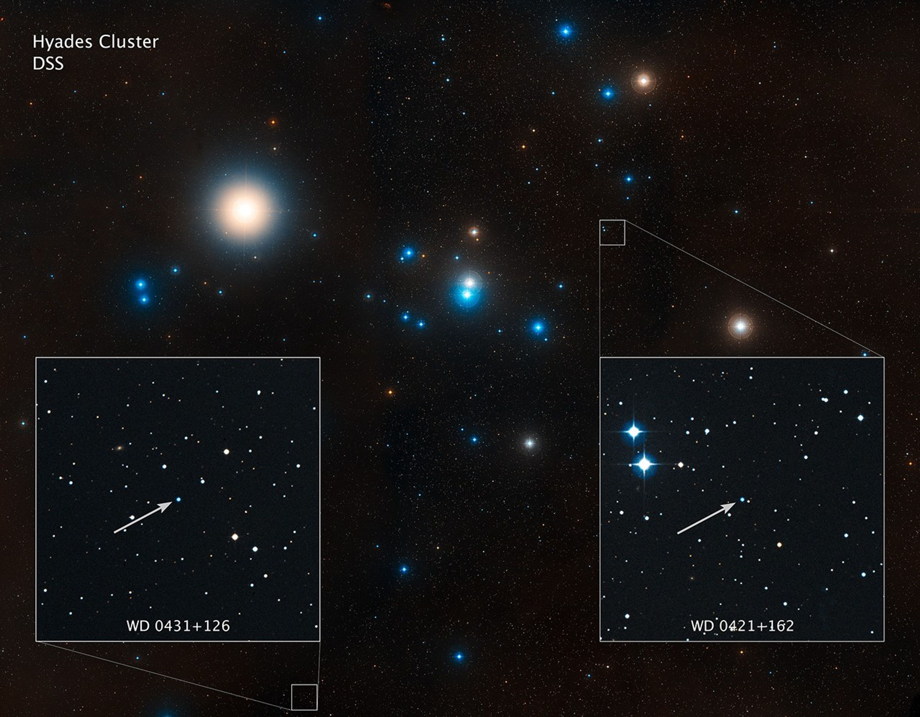 Digitized Sky Survey Image of White Dwarf Stars in Hyades Cluster