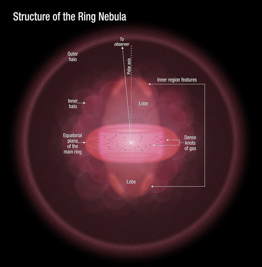 NASA's Hubble Space Telescope Reveals the Ring Nebula's True Shape ...