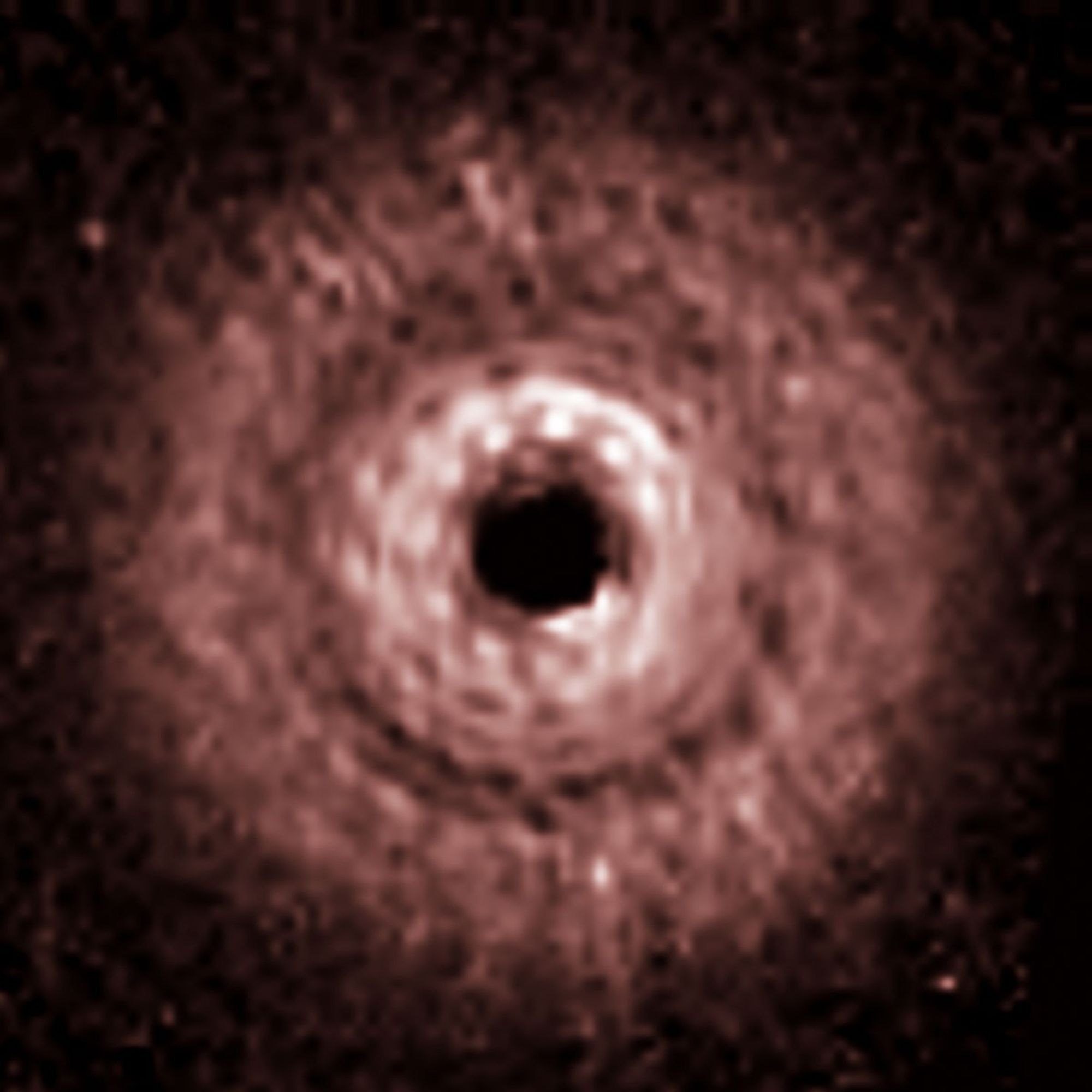 TW Hydrae Disk – Hubble