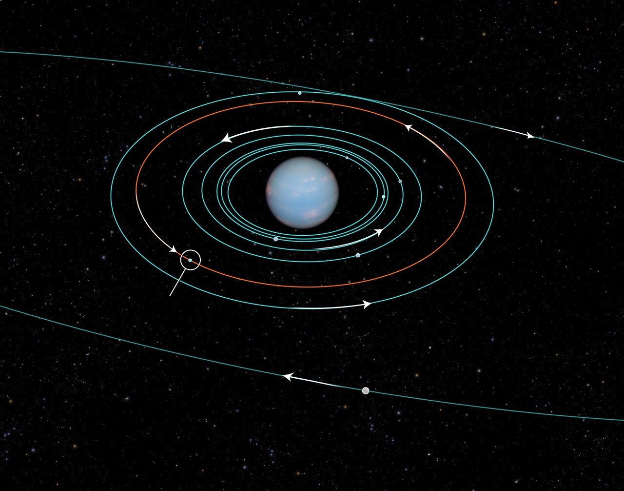 Orbit of Neptune's Newly Discovered Moon