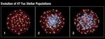 Evolution of 47 Tuc Stellar Populations