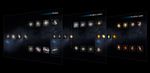 The Hubble Sequence Throughout the Universe's History