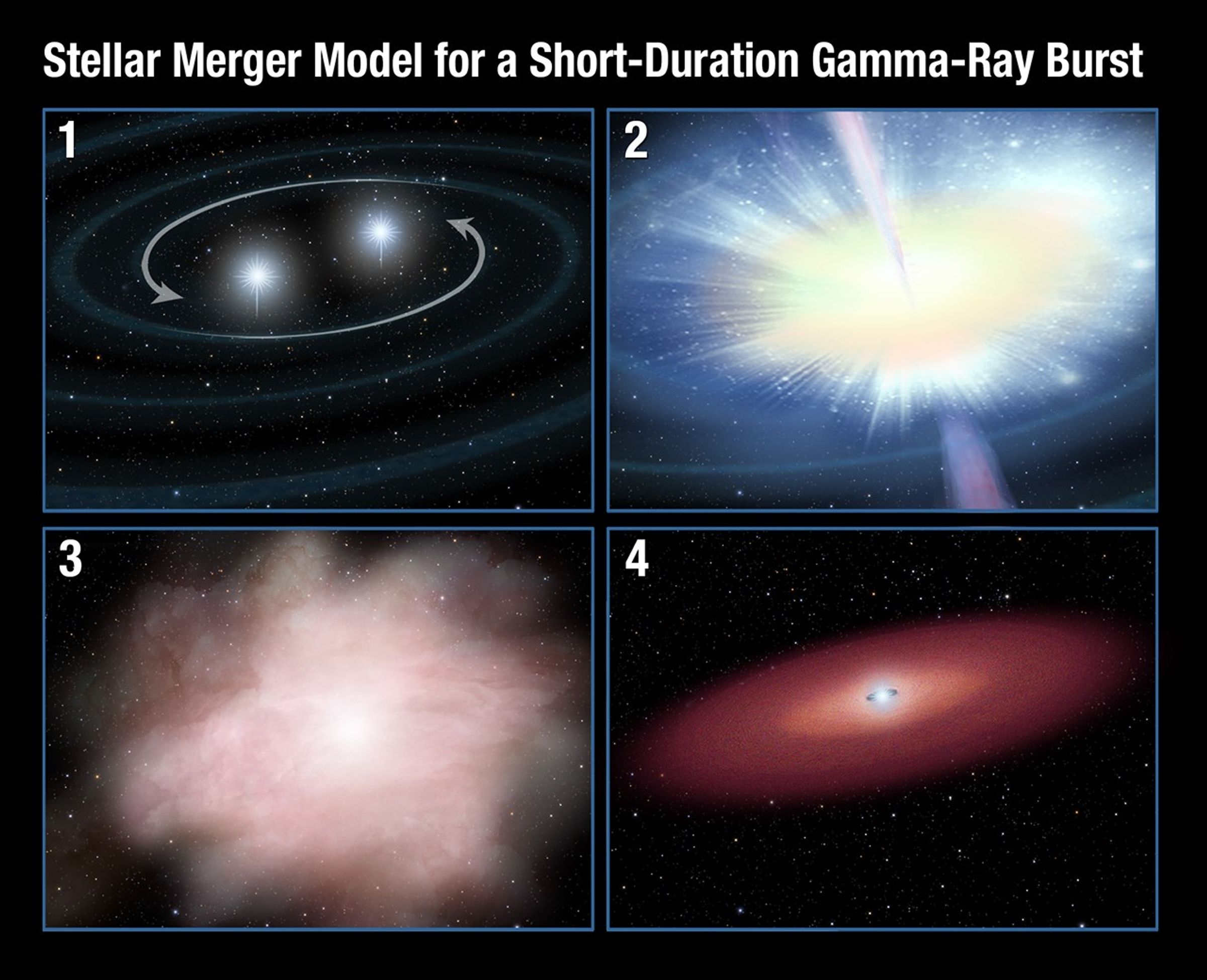 Stellar Merger Model for Gamma-ray Burst