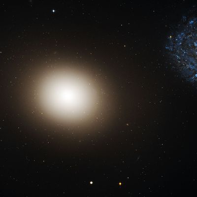 Galaxy M60 and M60-UCD1 (Hubble’s View)