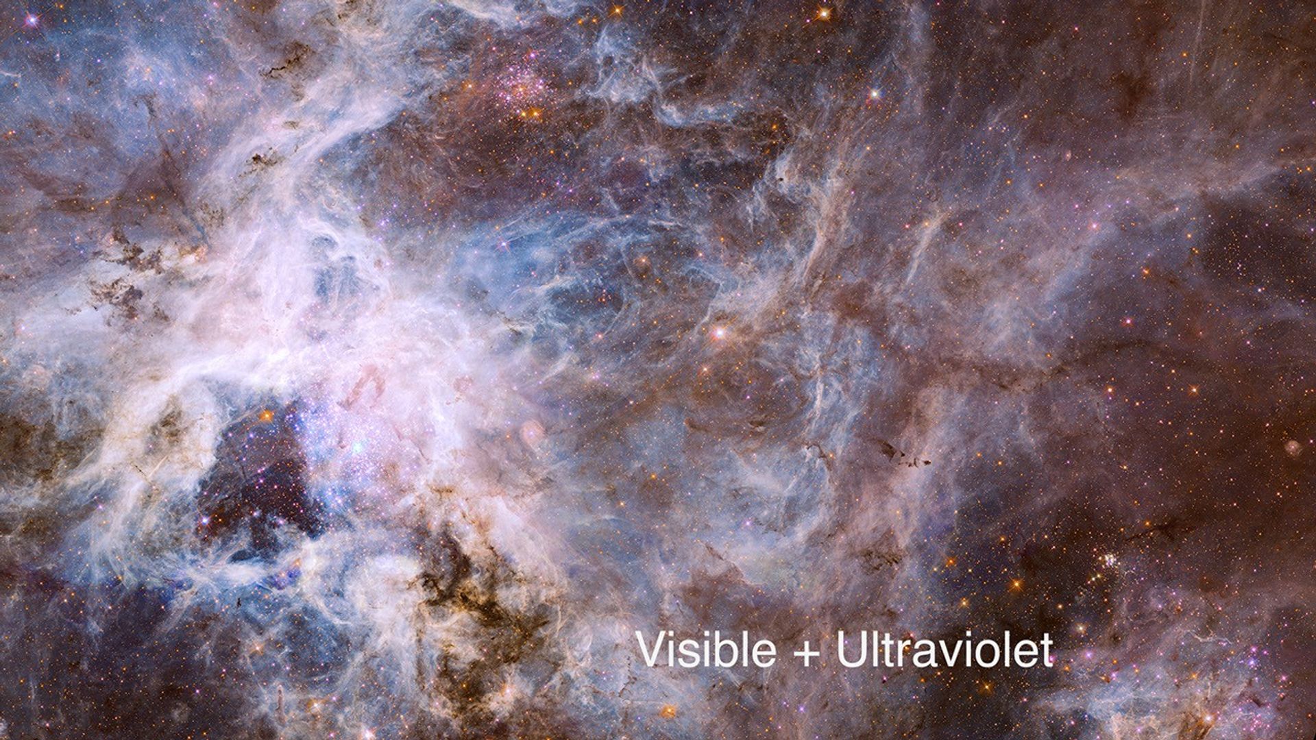 30 Doradus Nebula, Visible and Infrared Comparison (Annotated)