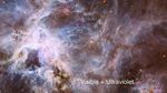 30 Doradus Nebula, Visible and Infrared Comparison (Annotated)