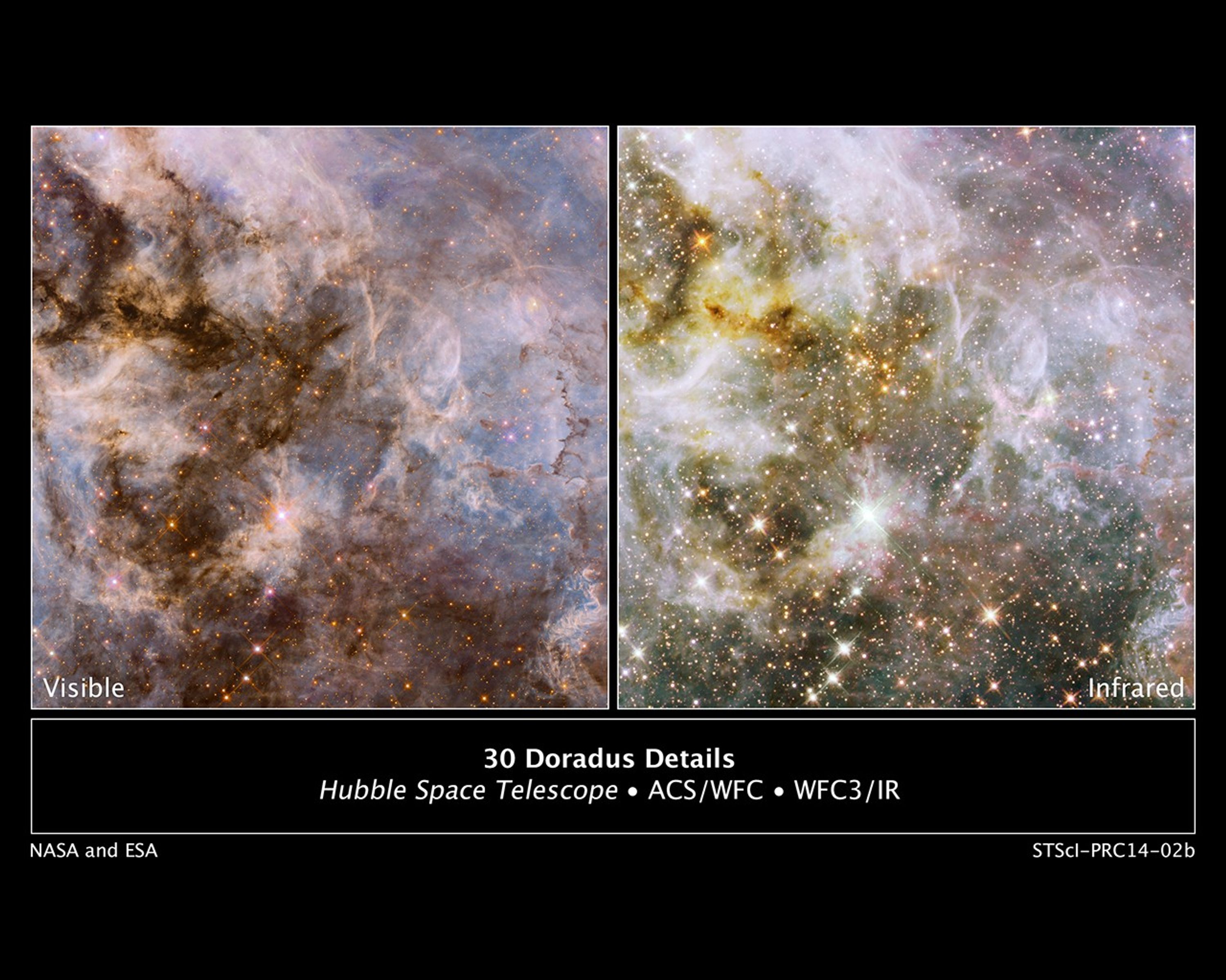 30 Doradus Nebula, Visible and Infrared Comparison