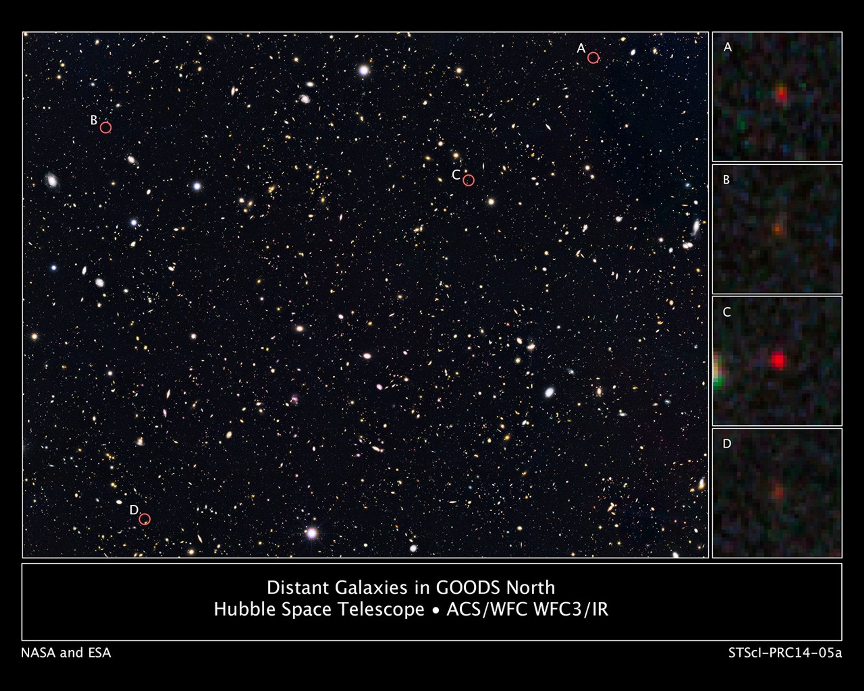 Distant Galaxies in GOODS North