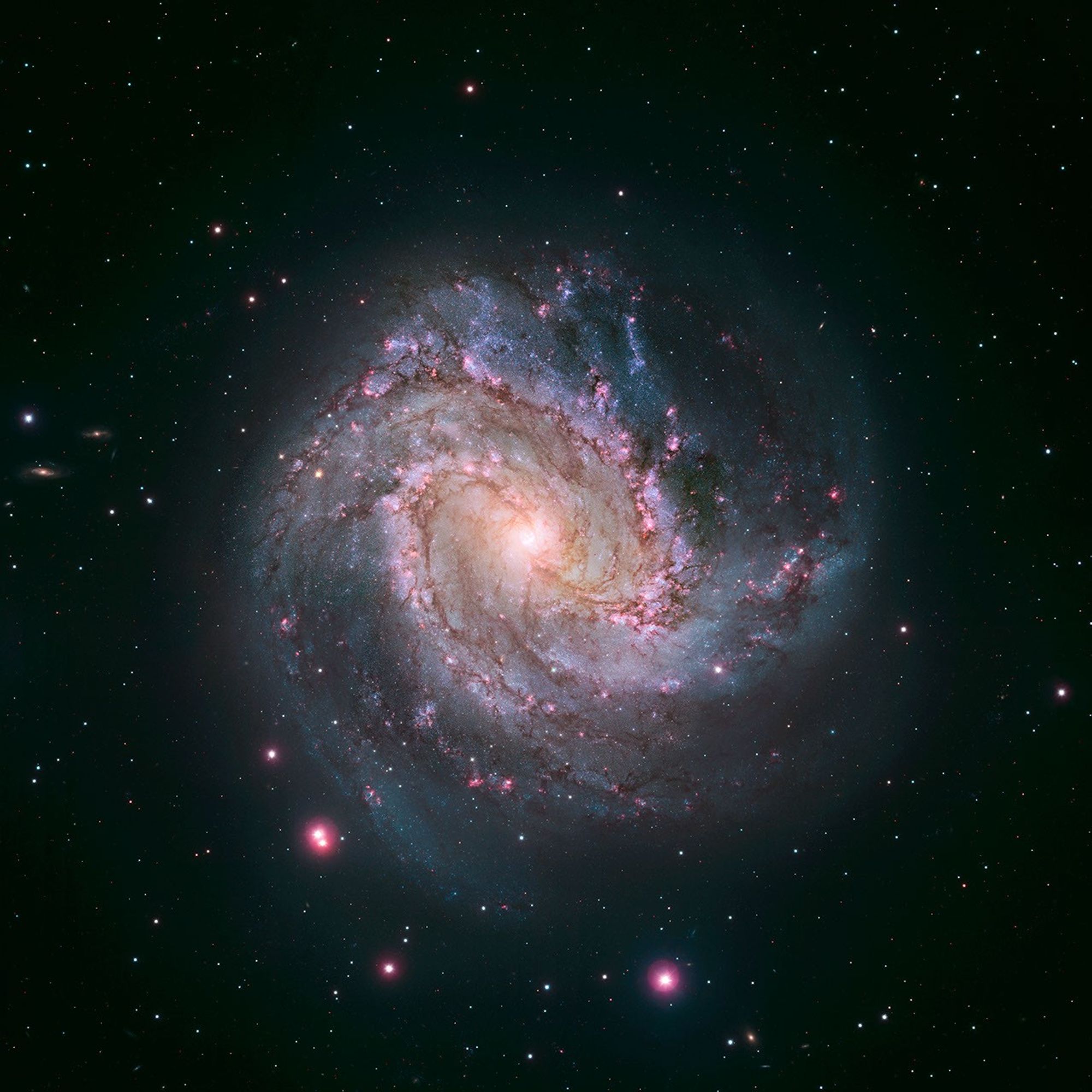 Face-on spiral galaxy against the black background of space.