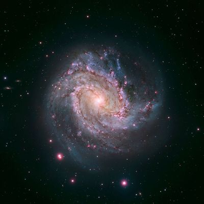 Hubble-Magellan Composite of M83