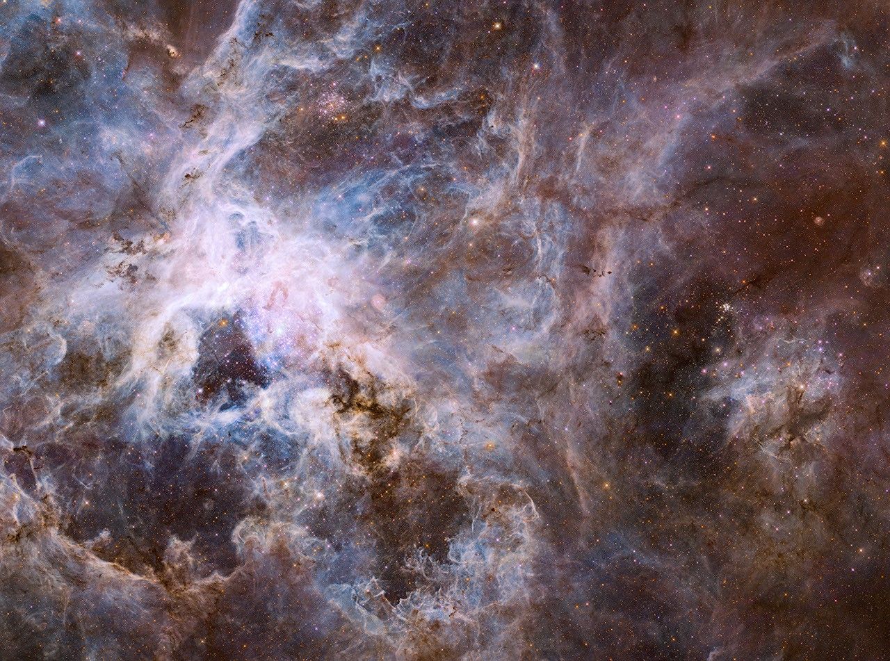 Hubble Probes Interior of Tarantula Nebula