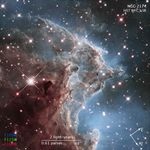 Compass and Scale Image for NGC 2174