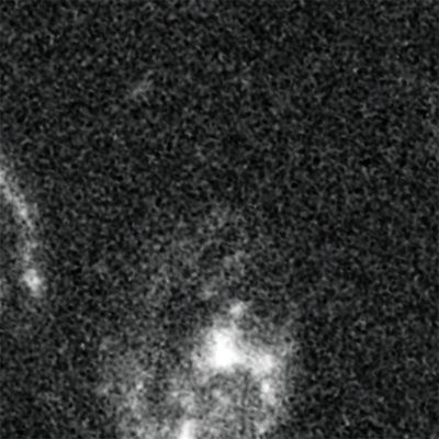 Supernova Tiberius (Before Outburst)