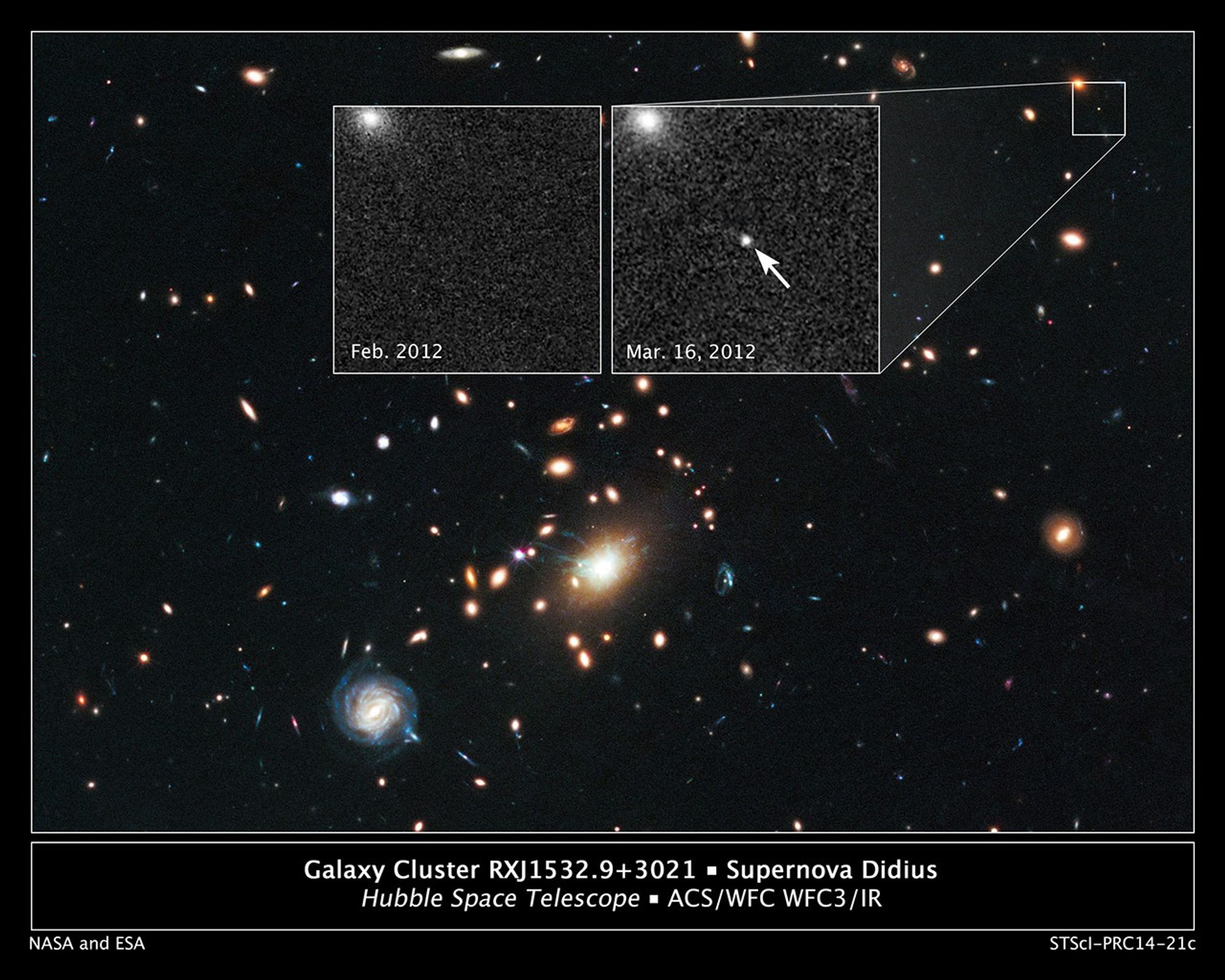 Remote Supernova Magnified by Massive Galaxy Cluster RXJ1532.9+3021