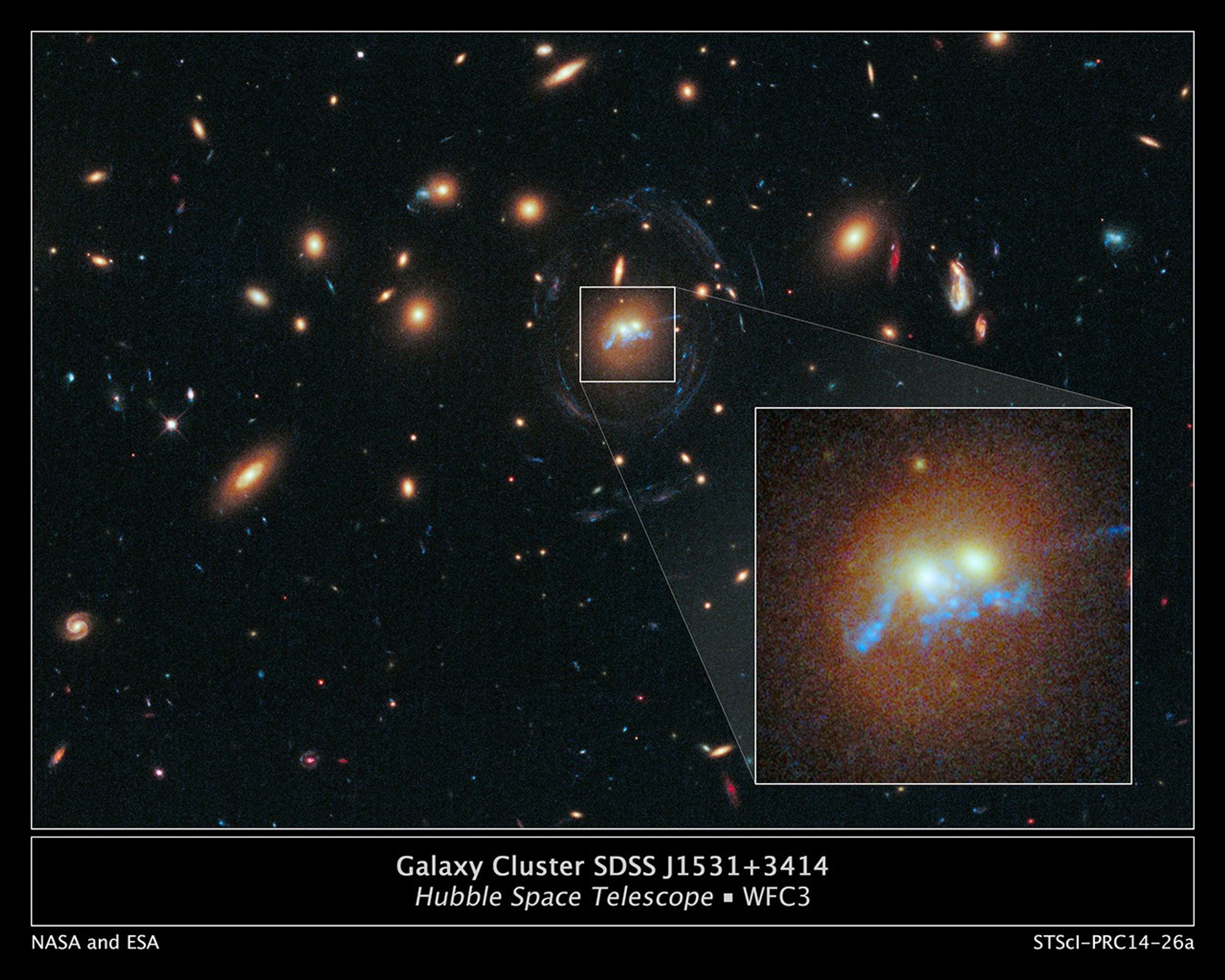 Galaxy Cluster SDSS J1531+3414