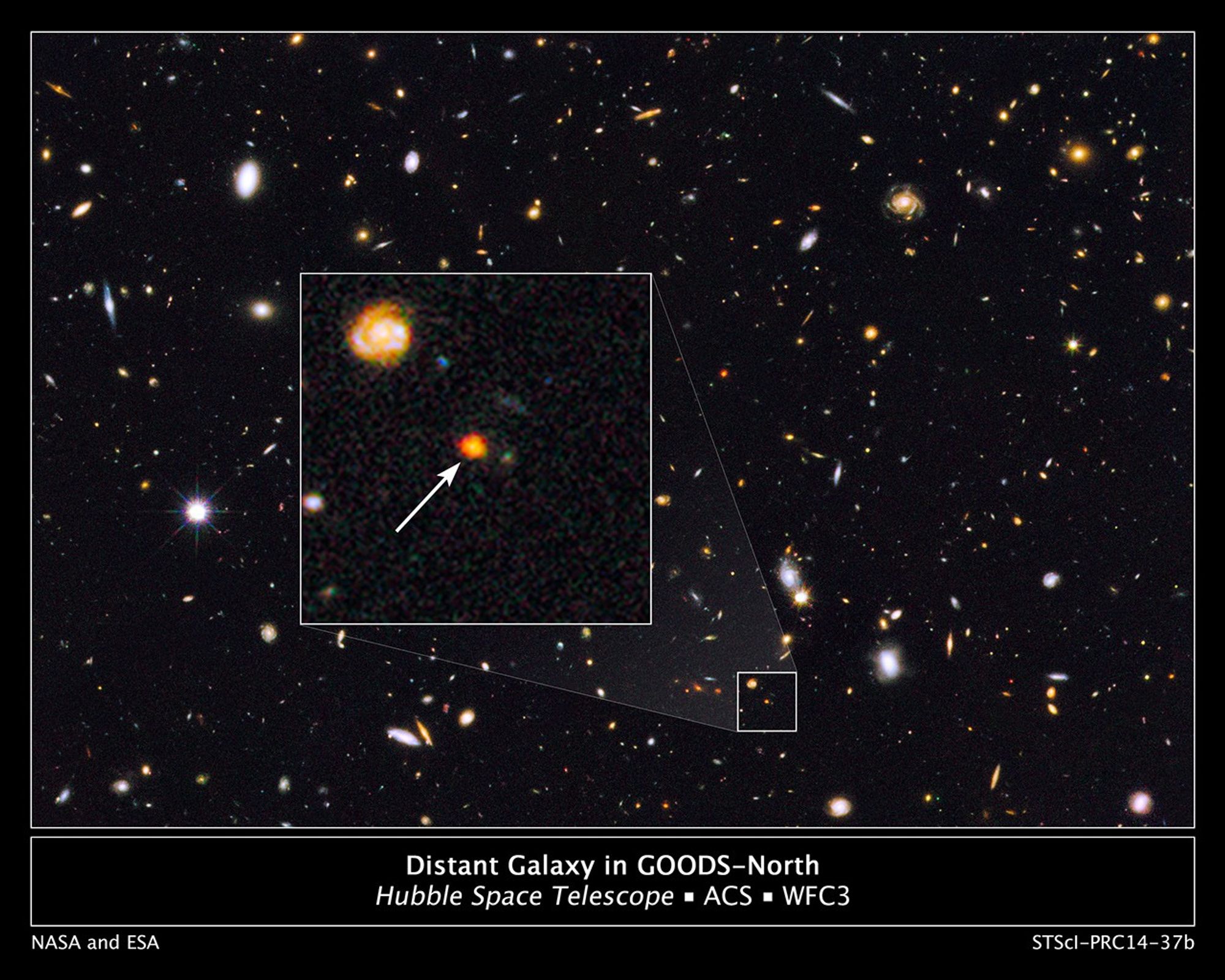 Distant Galaxy in GOODS-North