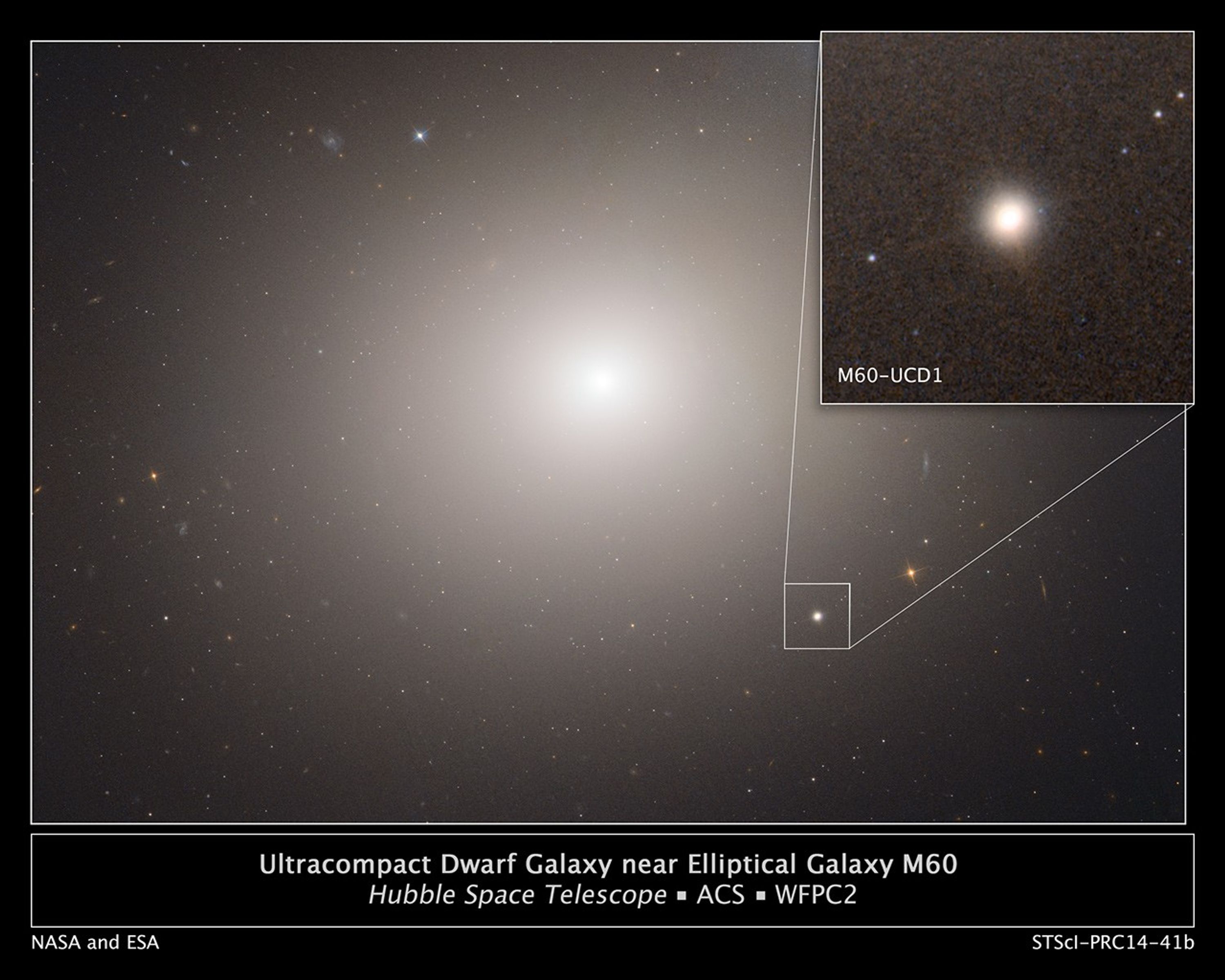Dwarf Galaxy Near M60