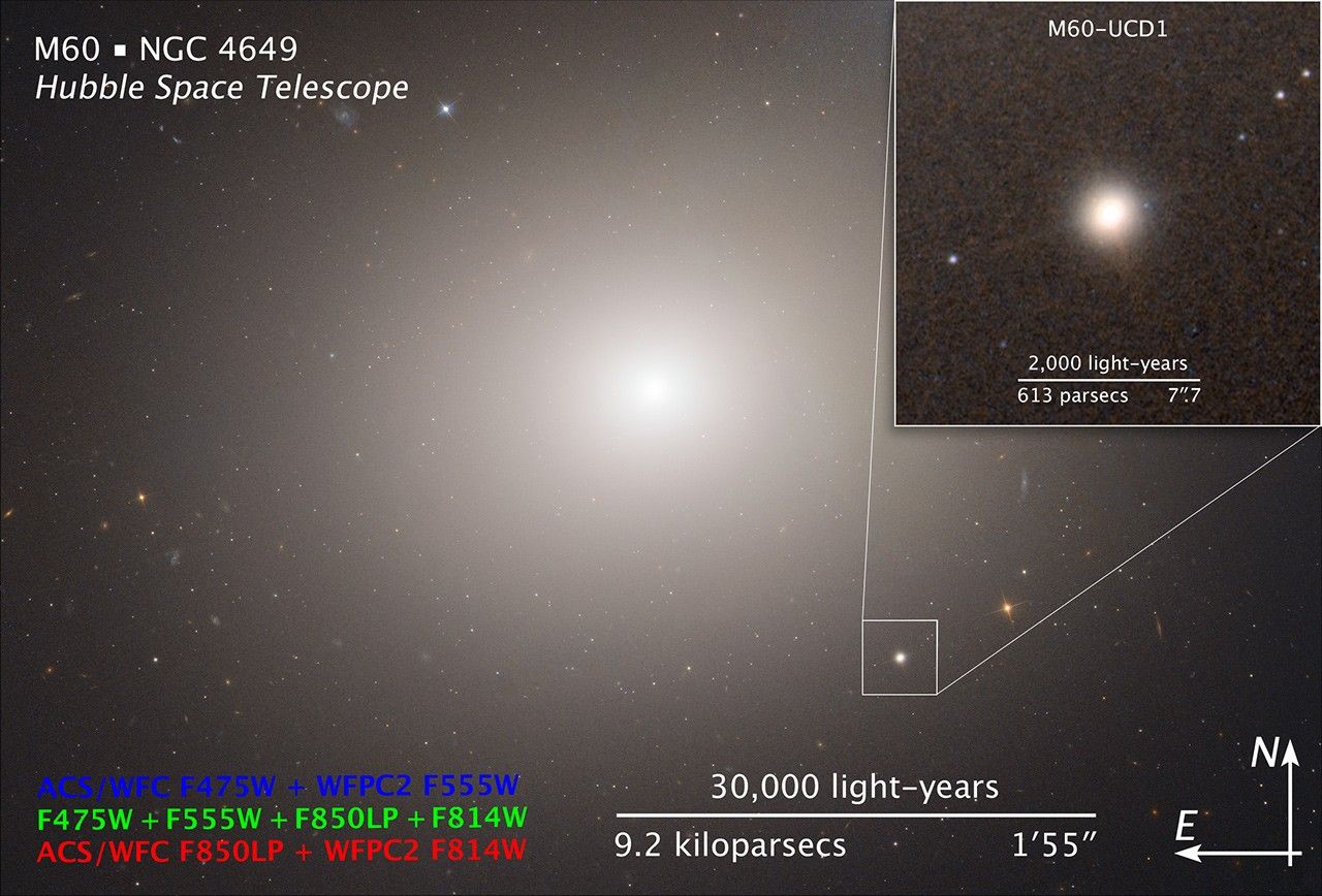 Compass and Scale Image for M60