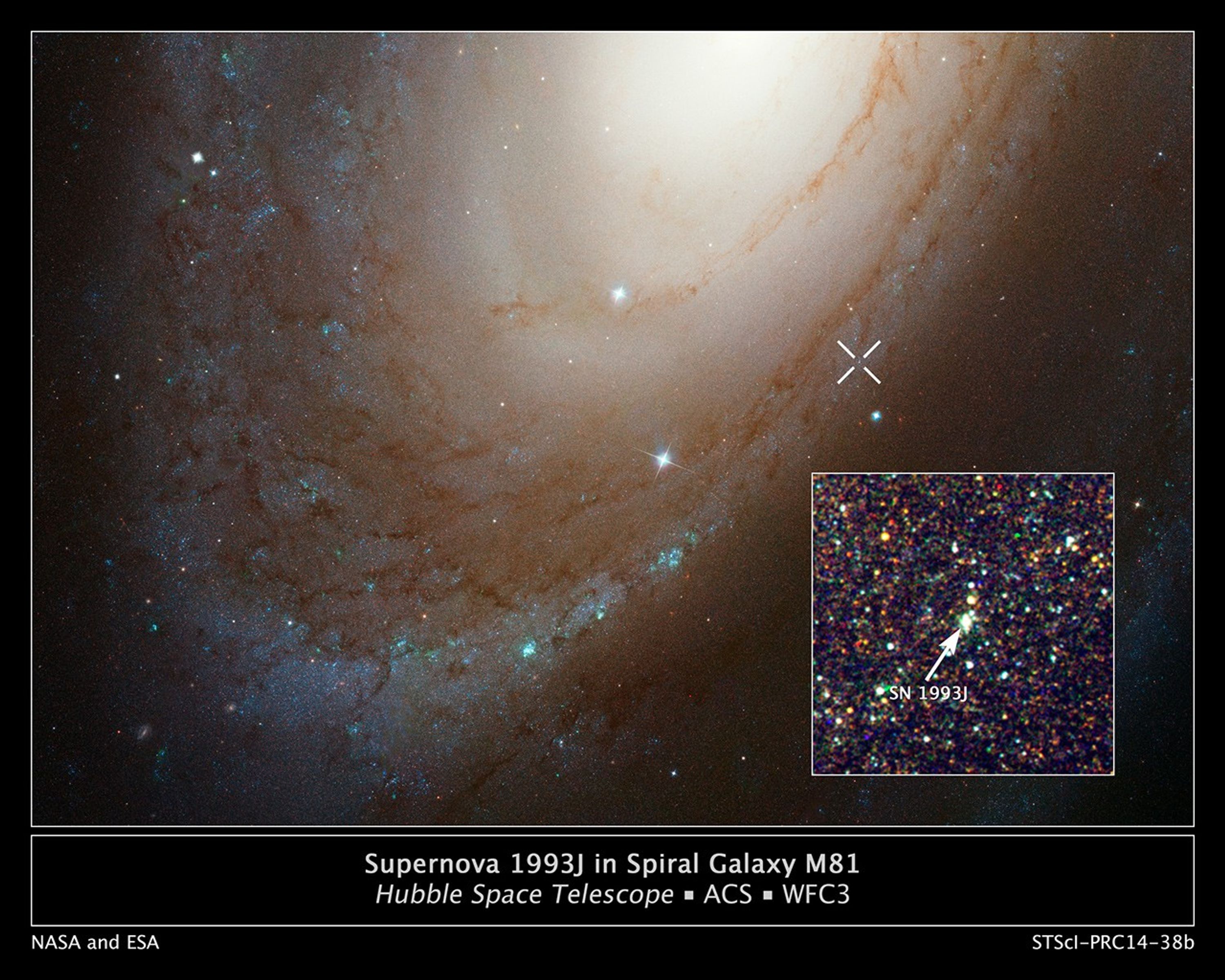 Supernova 1993J in Spiral Galaxy M81